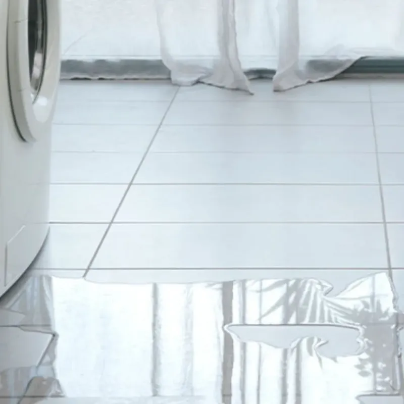 Appliance Leak Cleanup in Edgemoor, DE