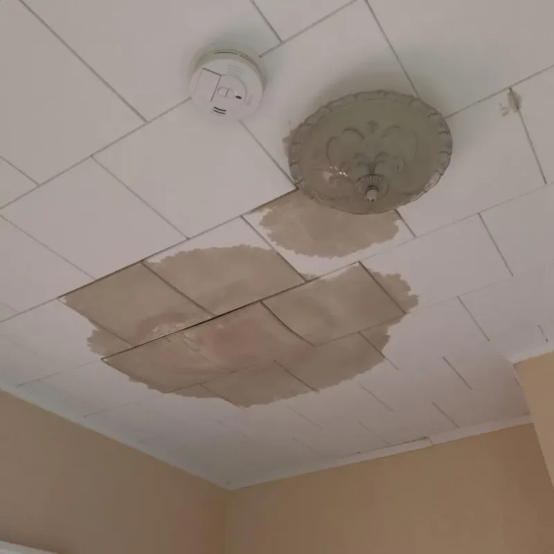 Ceiling Water Damage Repair in Edgemoor, DE