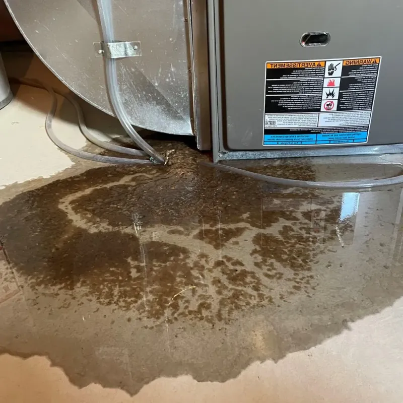 Pipe Burst and Leak Restoration in Edgemoor, DE