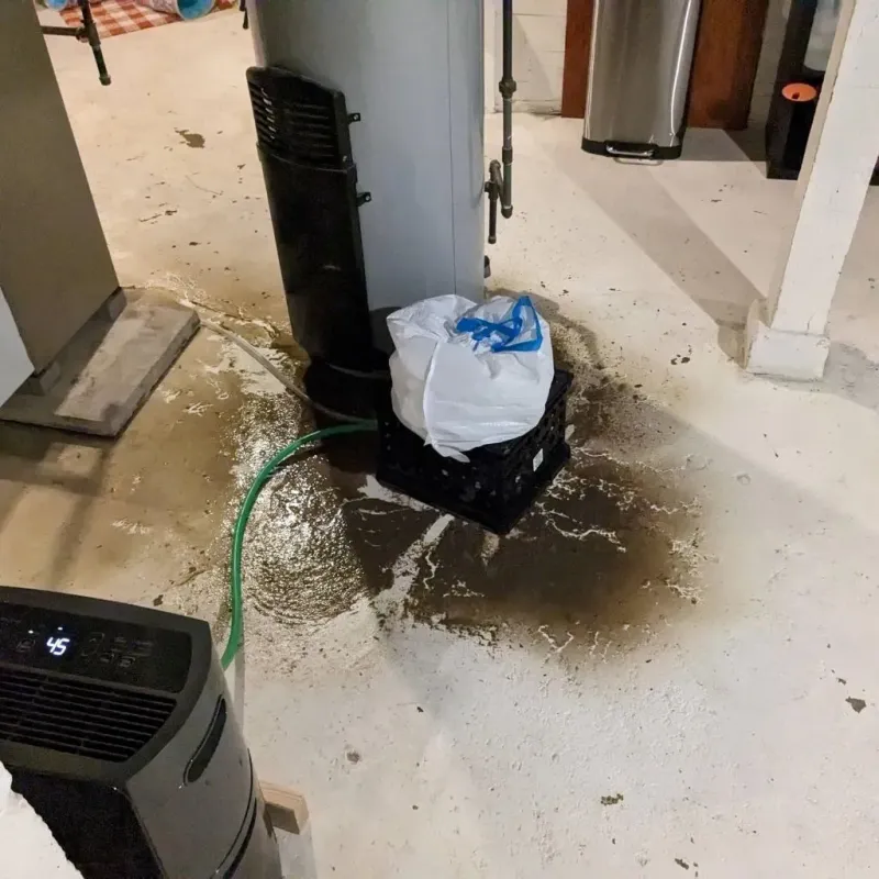Sewage Backup Cleanup Service in Edgemoor, DE